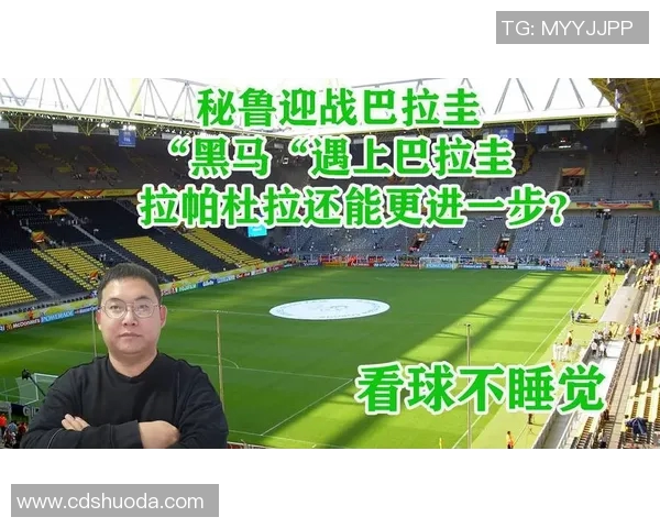 世界杯预选赛：秘鲁客场击败巴拉圭，拉帕杜拉绝杀